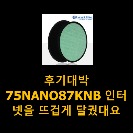 후기대박 75NANO87KNB 인터넷을 뜨겁게 달궜대요