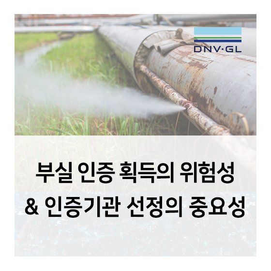 부실 식품안전 인증 획득의 위험성과 인증기관 선정의 중요성