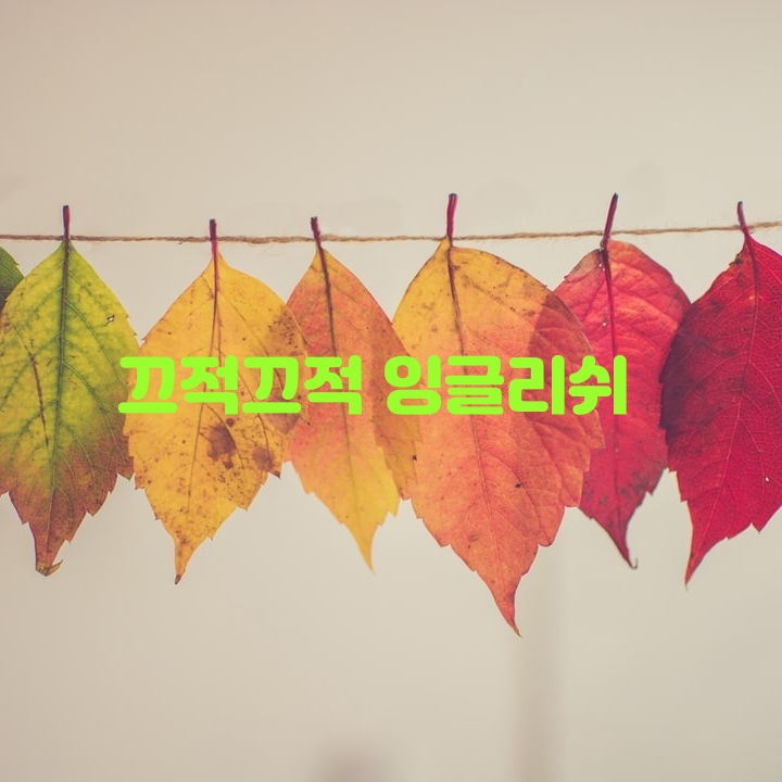  영어 필사해봐요