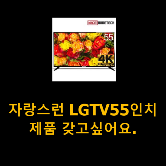 자랑스런 LGTV55인치 제품 갖고싶어요.