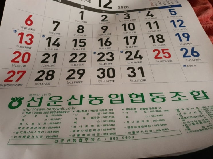 이년도 글고 저년도 글고