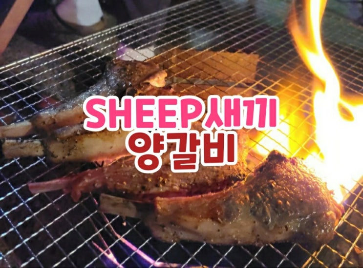 SHEEP새끼 쉽새끼 양갈비 캠핑장에서 먹어본 후기