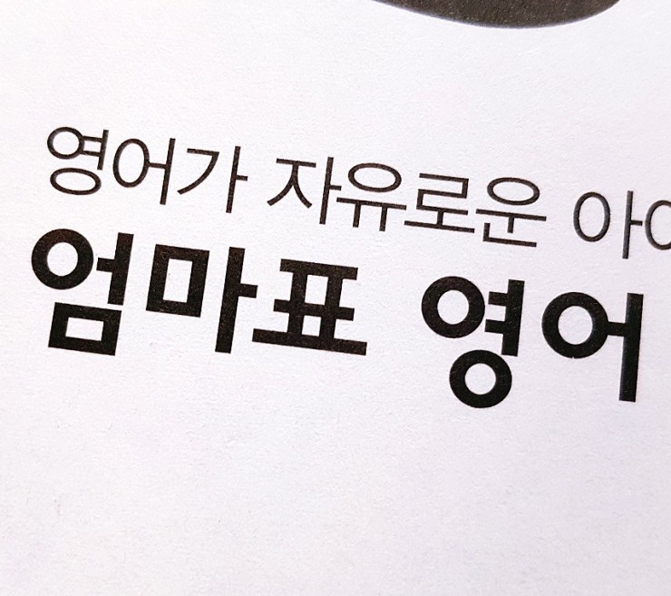  20' 2월-11월 :: 엄마표 영어 10개월 진행 과정 :)