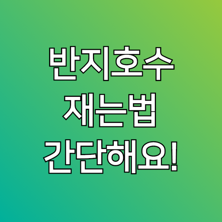  반지호수재는법, 남자 여자 평균 사이즈 알아볼께요~!