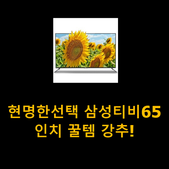 현명한선택 삼성티비65인치 꿀템 강추! 현명한선택 삼성티비65인치 꿀템 강추!