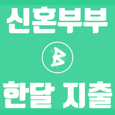  2인가족 신혼부부 한달 생활비 (20년 11월) - 오래오래 행복하게