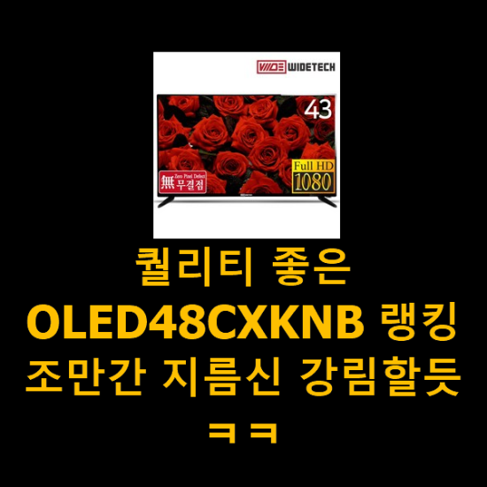 퀄리티 좋은 OLED48CXKNB 랭킹 조만간 지름신 강림할듯 ㅋㅋ