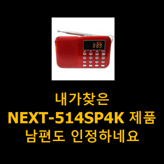 내가찾은 NEXT-514SP4K 제품 남편도 인정하네요