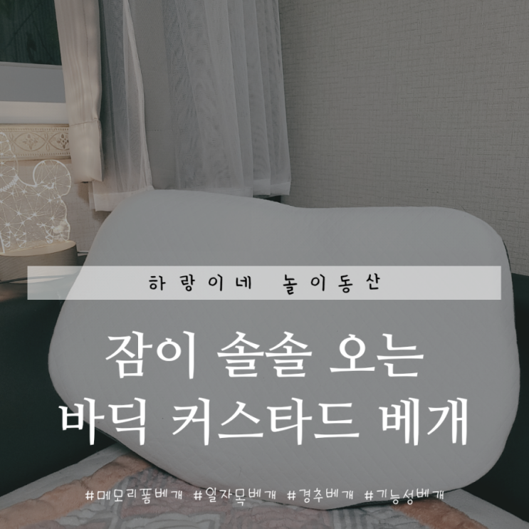  잠이 솔솔 기능성베개 바딕커스타드베개