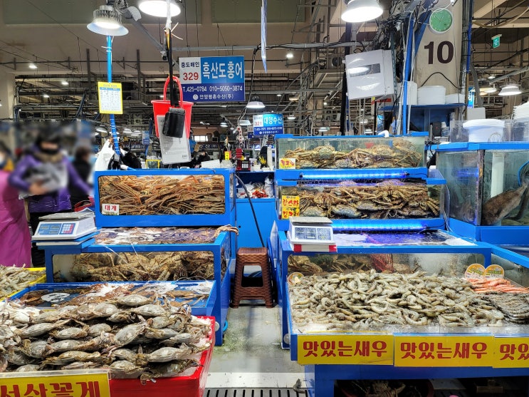 평촌 농수산물시장 휴무와 가격