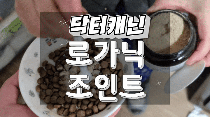  닥터캐닌 유기농 강아지관절영양제 로가닉조인트로 강아지슬개골탈구 예방!
