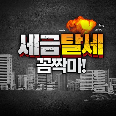 부동산 거래 세무조사와 추징 사례 - 다양한 유형의 탈루행위 적발 부동산 거래 세무조사와 추징 사례 - 다양한 유형의 탈루행위 적발