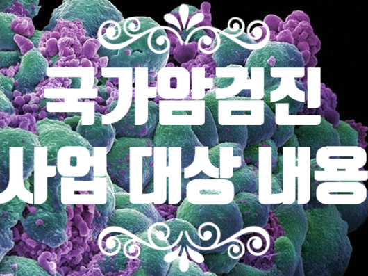  국가암검진 사업 내용 및 지원 대상자 비용 안내