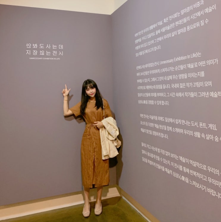  전시) 안봐도사는데 지장없는전시