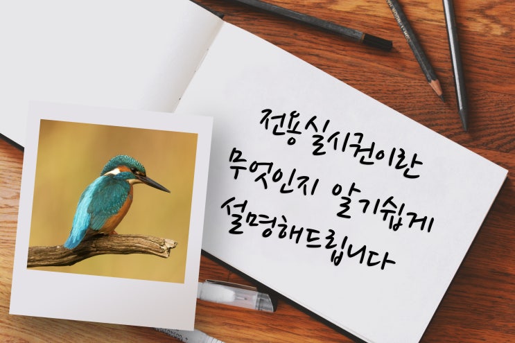  전용실시권 이 있으면 특허 독점 실시할 수 있습니다