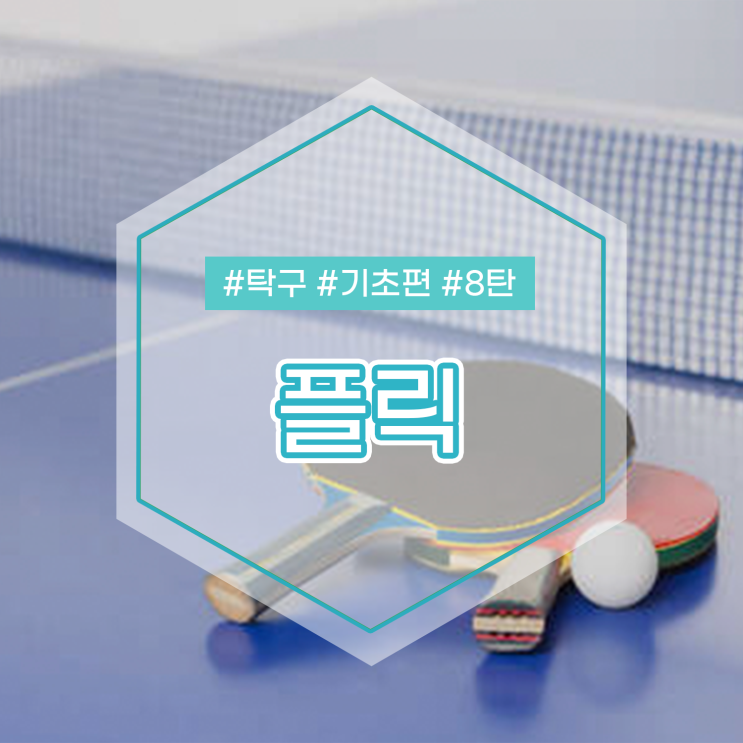  효미쌤이 알려주는 탁구 기본자세 기초편 8탄 플릭