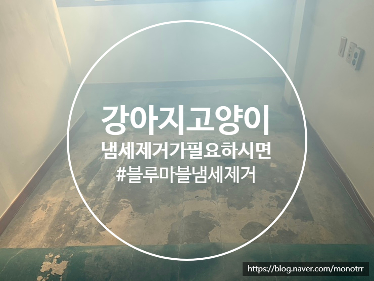  애완동물 냄새 제거 소독이 필요하시다면 언제든지 문의하세요