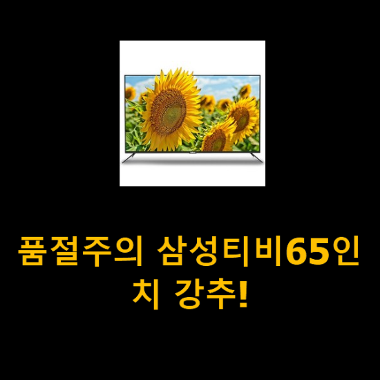 품절주의 삼성티비65인치 강추!