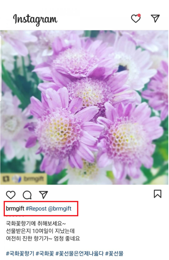  스마트폰 앱으로 인스타 리그램 리포스트 하는 방법