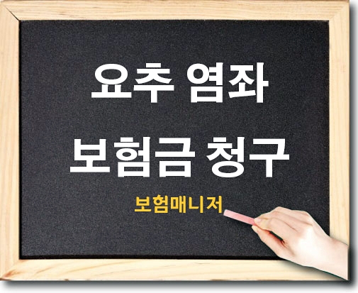  요추염좌 소화불량으로 인한 보험청구 사례
