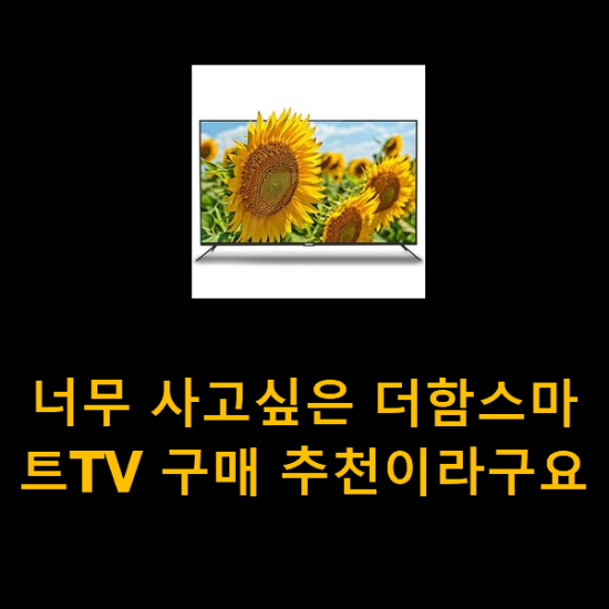 너무 사고싶은 더함스마트TV 구매 추천이라구요