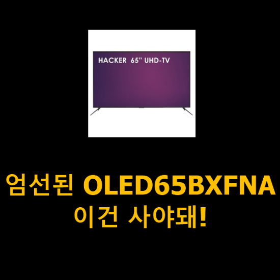 엄선된 OLED65BXFNA 이건 사야돼!