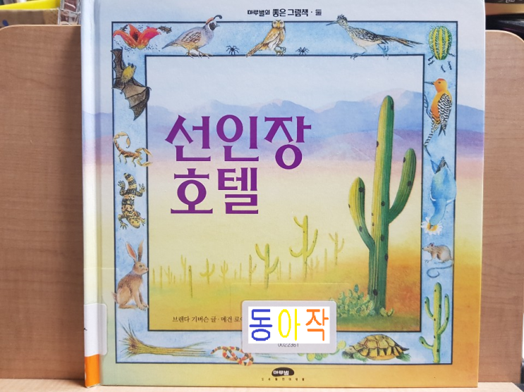  생물과 환경! 사와로 선인장의 일생 '선인장 호텔'