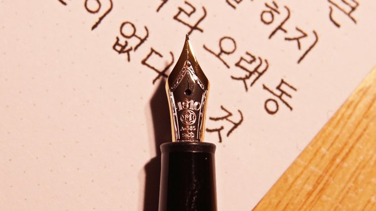  그의 재능 (몽블랑 마이스터스튁 플래티넘 클래식(145) EF닙, 정자체, 가로쓰기, 폴오스터)