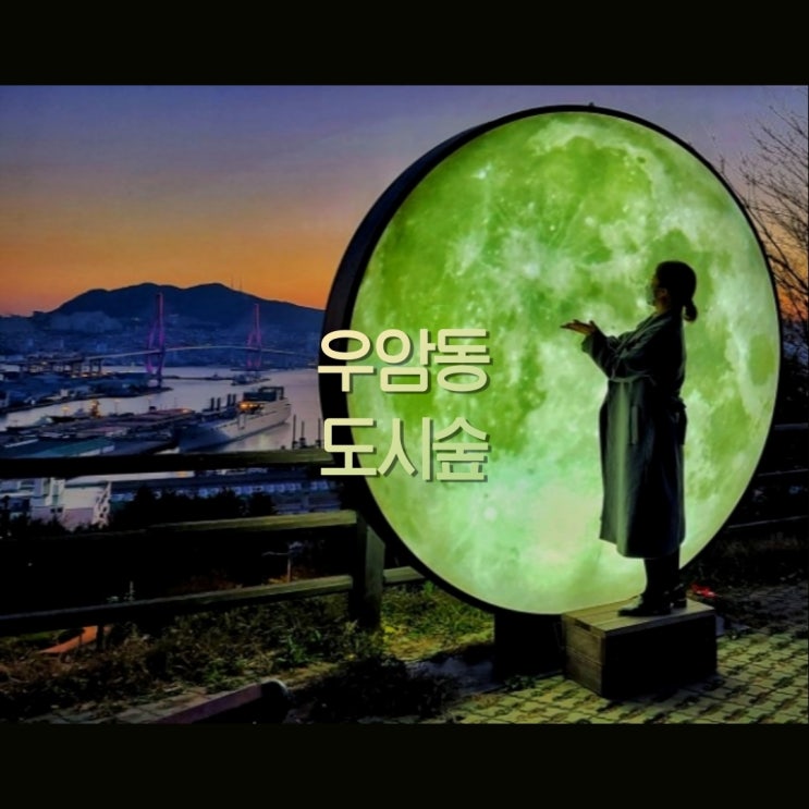  우암동도시숲, 보름달이 매일 뜨는 부산야경명소