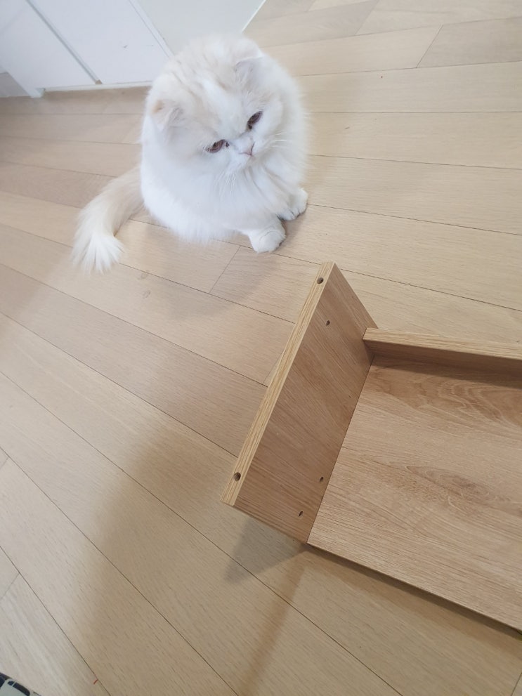  이마트 노브랜드 다용도 모니터 받침대 ( 모니터 스탠드 ) 메리트는?