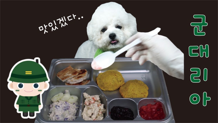  군대리아 밀리터리 버거 강아지 수제간식 펫푸드 만들기