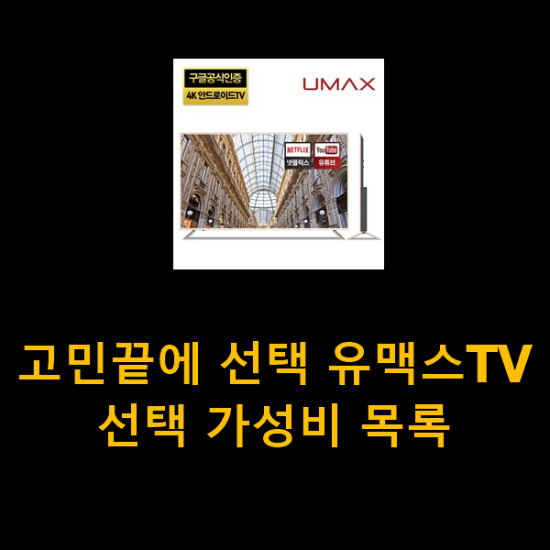 고민끝에 선택 유맥스TV 선택 가성비 목록