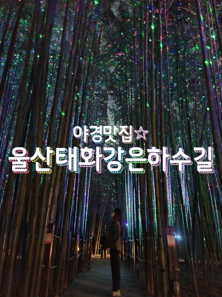  국내여행 경상도여행 울산여행 데이트코스추천 울산야경 /태화강은하수길 태화강국가정원은하수정원