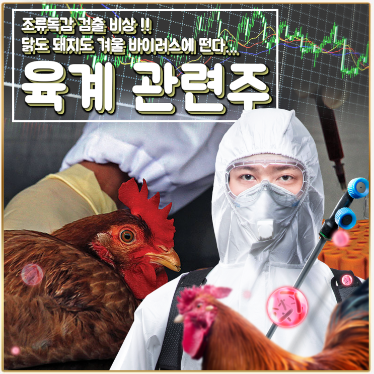  [라이프스탁] 육계 관련주