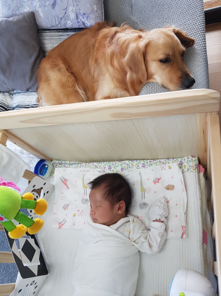  2020.04 :) 한달된 하진이 & 4살 몽이