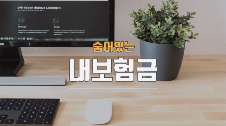  내가 가입한 보험 조회, 미청구, 환급금 찾기