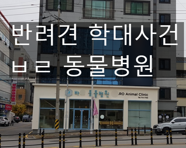  광주 ㅂㄹ동물병원 "반려견 학대사건"