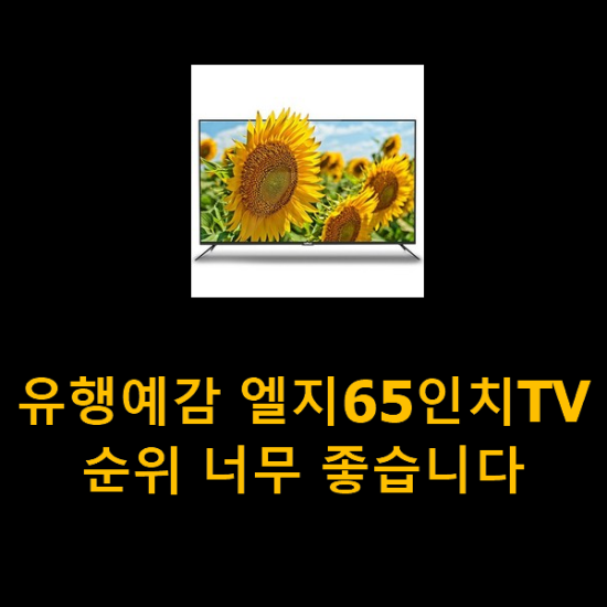 유행예감 엘지65인치TV 순위 너무 좋습니다