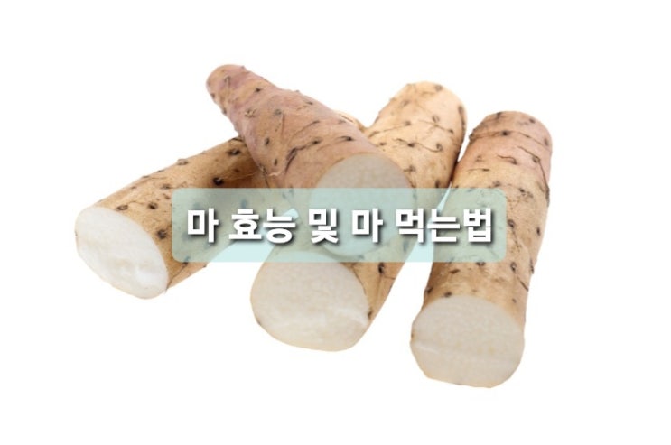 마효능 몸이건강해져요 마먹는법 들기름과 함께