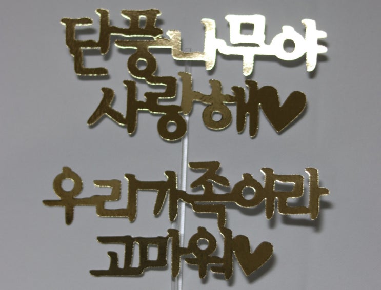  강아지 생일파티 강단풍의 7년을 축하하며