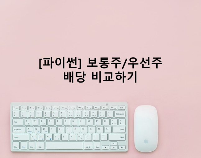  [파이썬] 보통주/우선주 배당 비교하기_2