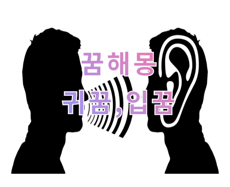  [꿈해몽] 귀꿈,입꿈