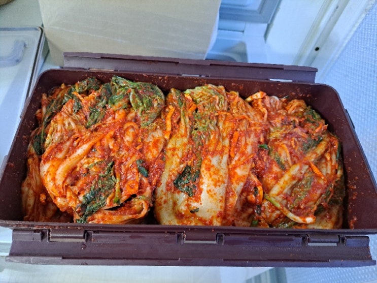  김장김치 첫 도전! 김치 사 먹기 VS 담가먹기, 김장하는 김에 재미있을까 비교 글 적어봐요.