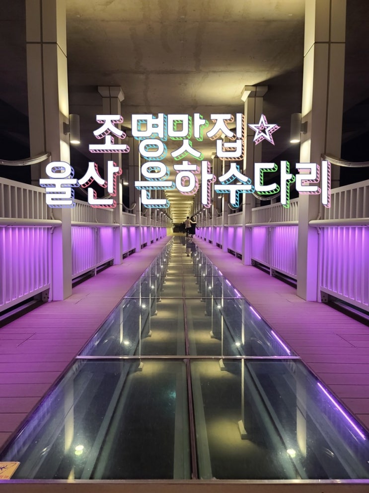  국내여행 울산여행 경상도여행 데이트코스/조명맛집 태화강국가정원교 은하수다리