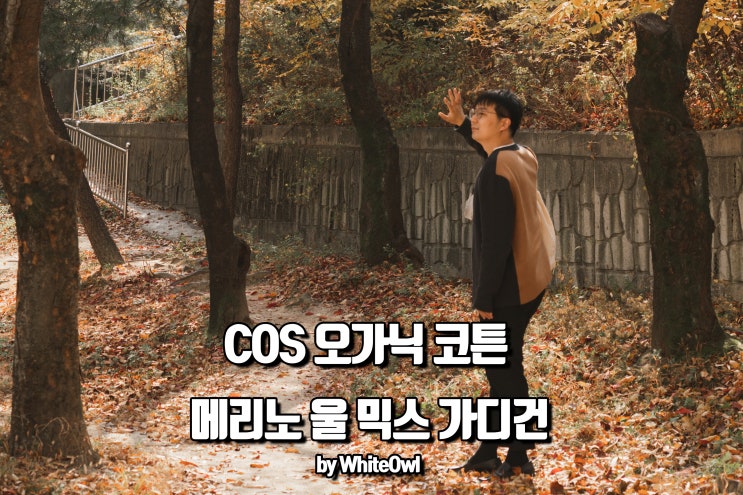  COS 코스 오가닉 코튼 메리노 울 믹스 가디건