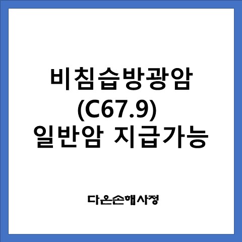  방광암 초기증상,  비침습방광암(C67.9/D09.0) 일반암 지급받으세요.