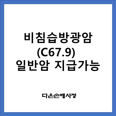 방광암 초기증상,  비침습방광암(C67.9/D09.0) 일반암 지급받으세요.