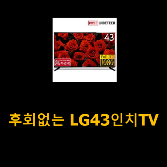 후회없는 LG43인치TV