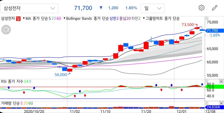  보조지표 활용하기 - 그물망 차트, RSI 등