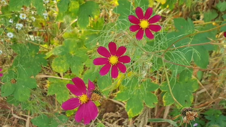  통장 만들었어요!